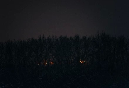 январь 2026, ночь