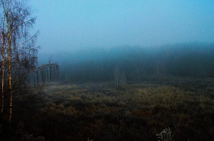 Струнино Владимирская область. Недалеко микрорайон Северный.