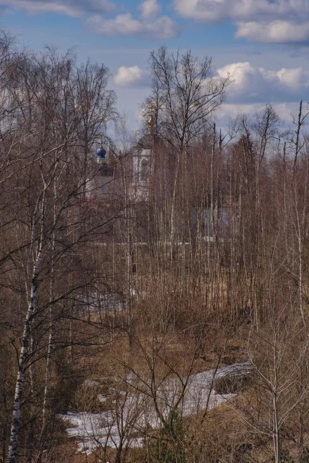 Сквозь весеннюю рощу