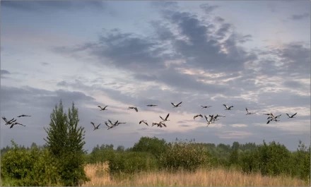 Недавно была осень