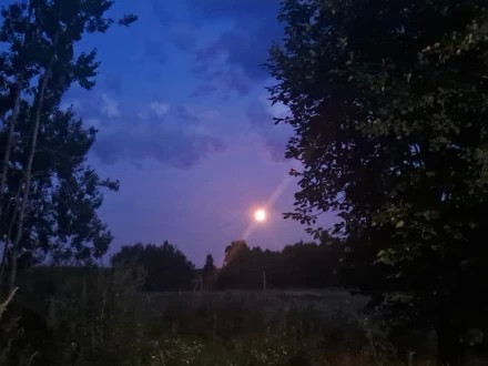 Лунный вечер
