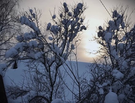 ЗИМНЕЕ СОЛНЦЕ