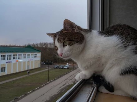 декабрь 2025, так, где снег?