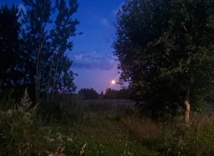 Лунный вечер