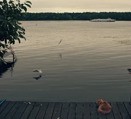 "Дело было вечером..."))
