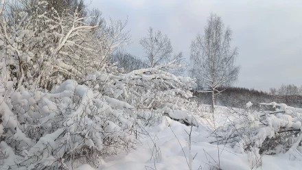 С Новым годом!