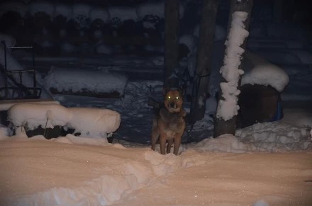 С Рождеством ХРИСТОВЫМ!