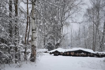 У Крестовоздвиженского храма