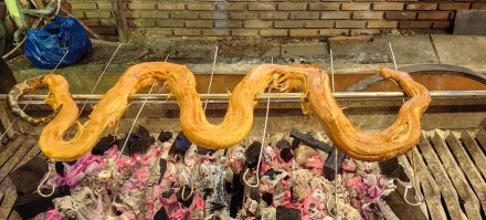 Не смотреть перед ужином!!! Запечённый удав.