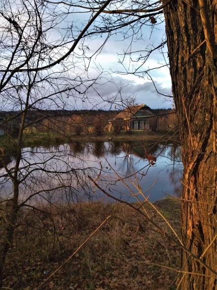 Домик у пруда