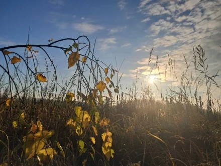 С добрым утром!