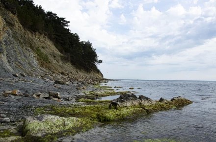Море в Геленджике 3