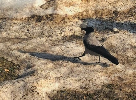 Вот она какая