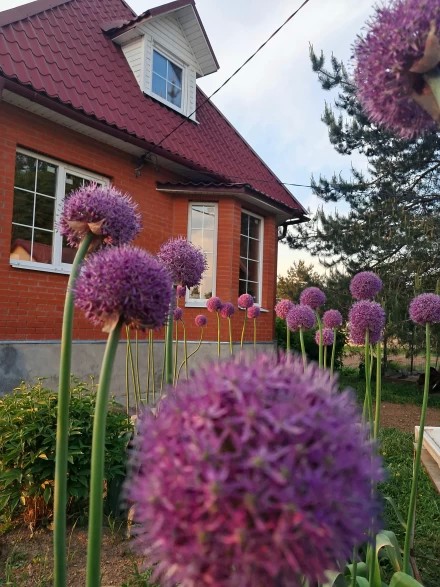 Волшебные шары