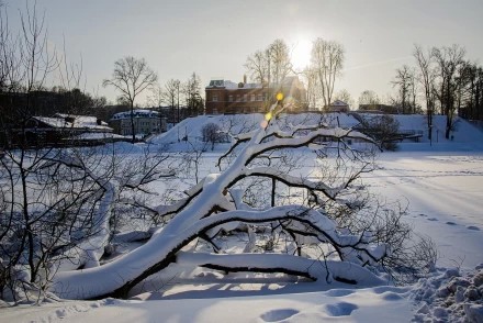 Келарский пруд. Январь 3