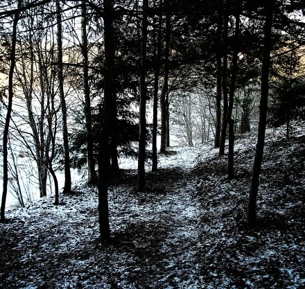 Струнино Владимирская область. Не комментировать.