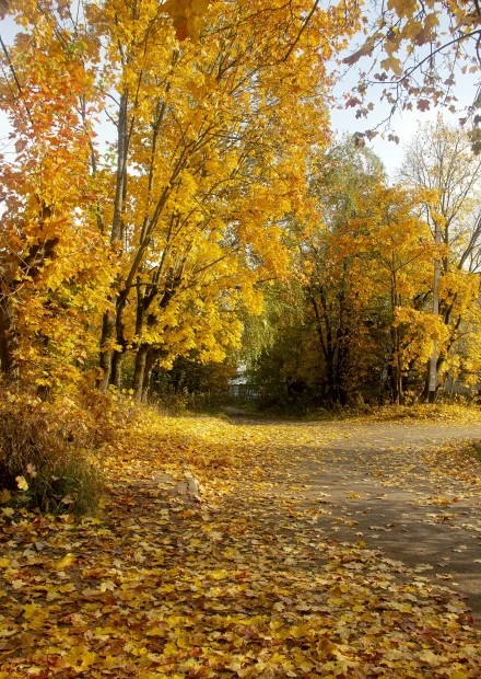 Золотая осень на Рыбной