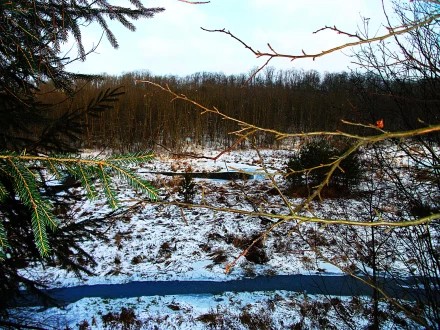 Струнино Владимирская область. Река Чёрная.