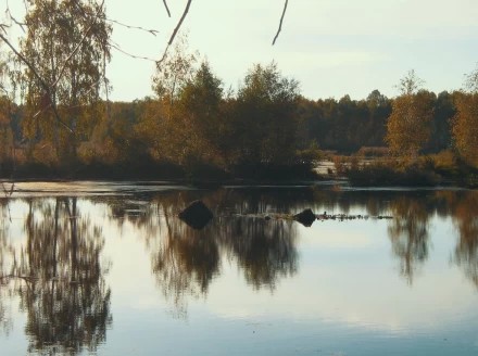 Где-то в районе Орехово-Зуево...