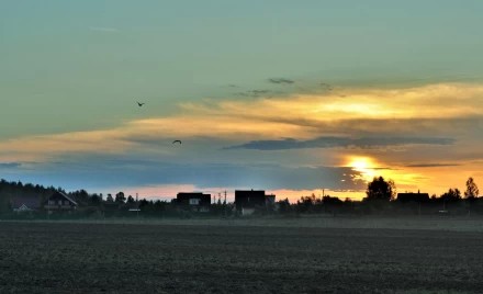 Тихий рассвет