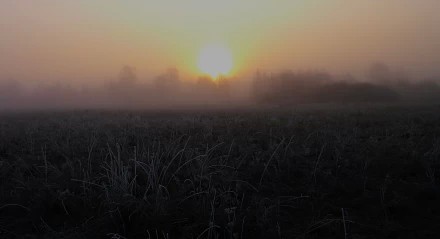 Восход  Солнца. В близи древни Курганиха. Владимирская область.