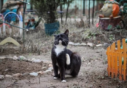 ноябрь 2025, обстановка в Заречном