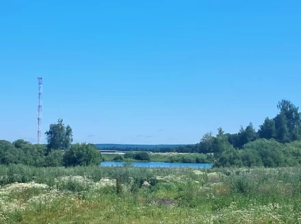 Зубцовский пруд в июле