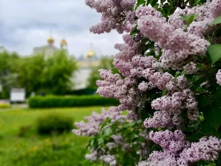 Доброе утро!