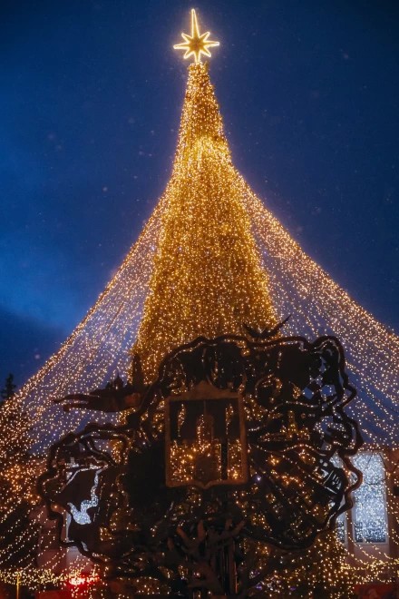 декабрь 2025, зажжение ёлки на Советской площади