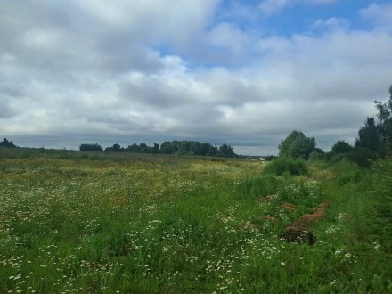 В окрестностях Спасс-Торбеево