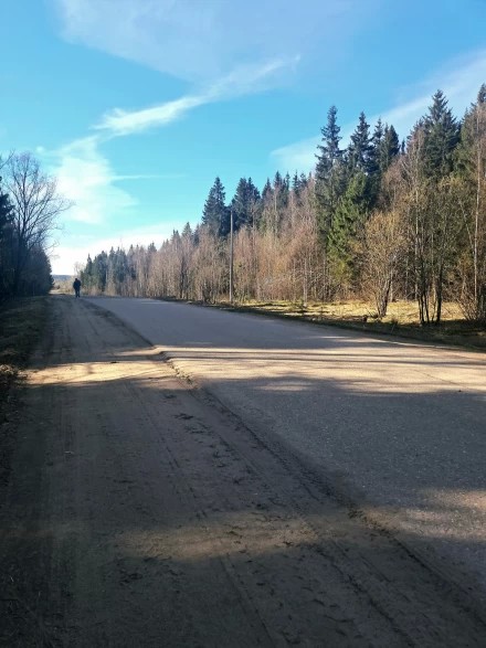 По весенней дороге