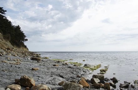 Море В Геленджике