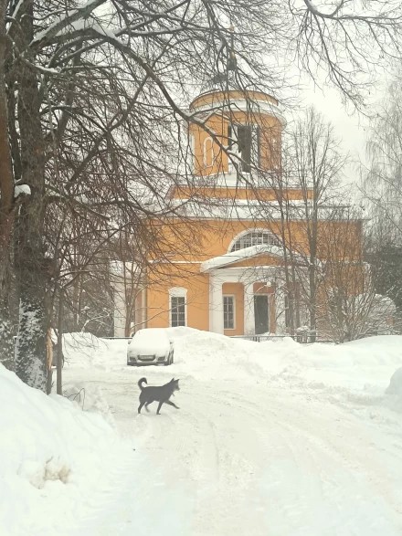 Снега, снега...