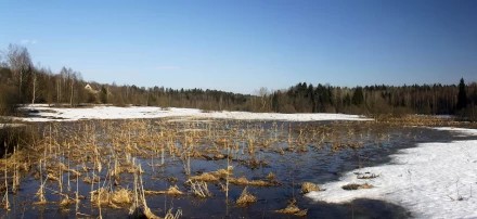 Начало разлива