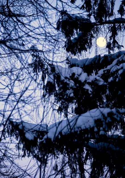 Новогоднее полнолуние