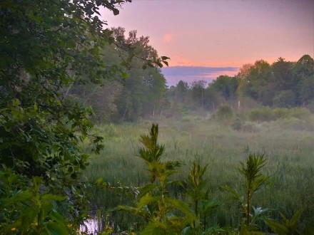 ДолИна туманов