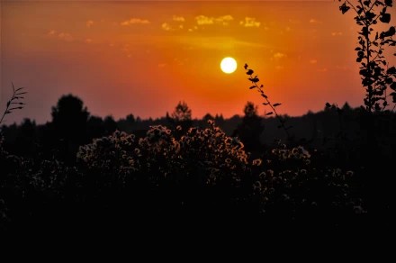 Летний рассвет