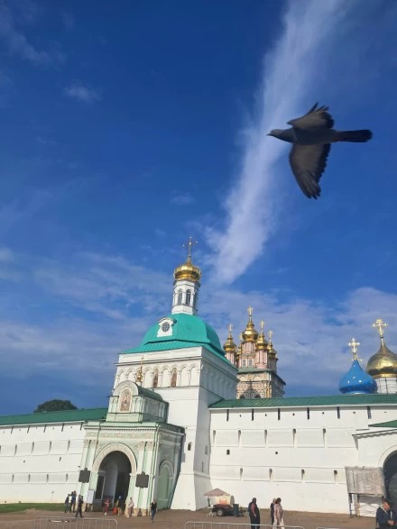 Сегодня в Лавре