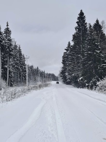 По зимней дороге