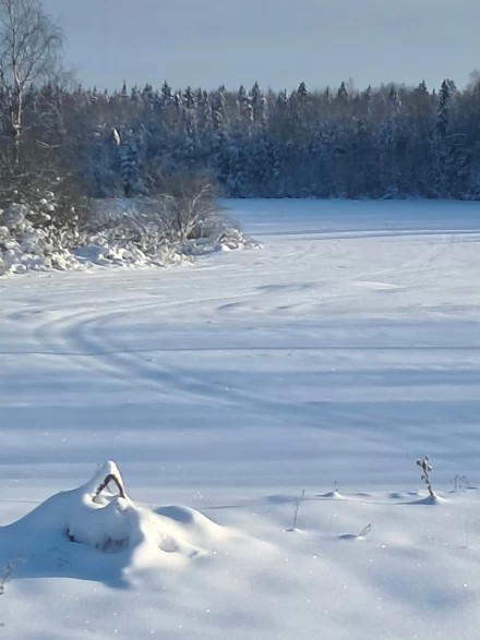 Снежные ковры