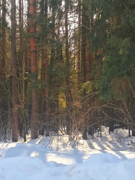 Пробуждение