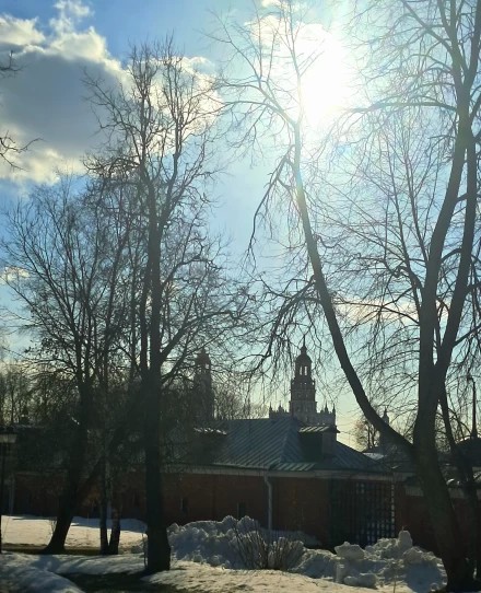 Весеннее солнце