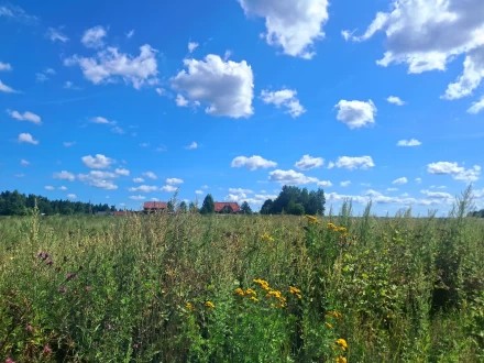 Жаркий август