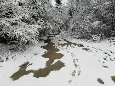 После первого снега