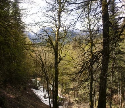 Тест файла g.imbro