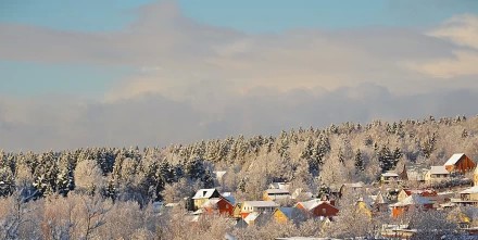Первый снег в ноябре