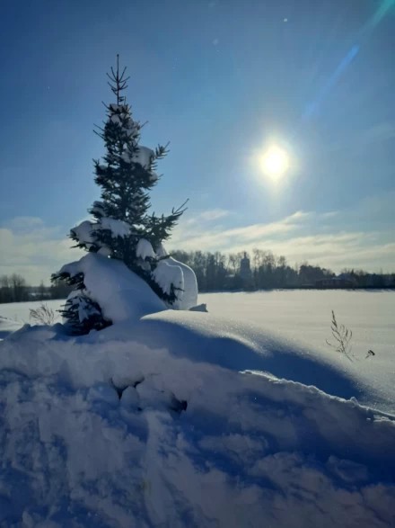 Мороз и солнце, день чудесный