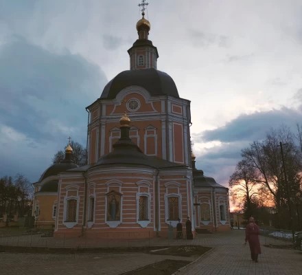 Девушка с вербой, к Празднику