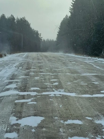 Зима пришла с  метелью и сильными ветрами