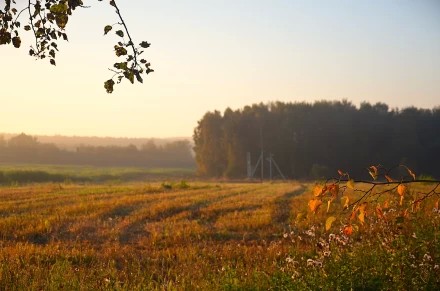 Приметы осени